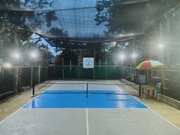 D’backyard Pickleball Court