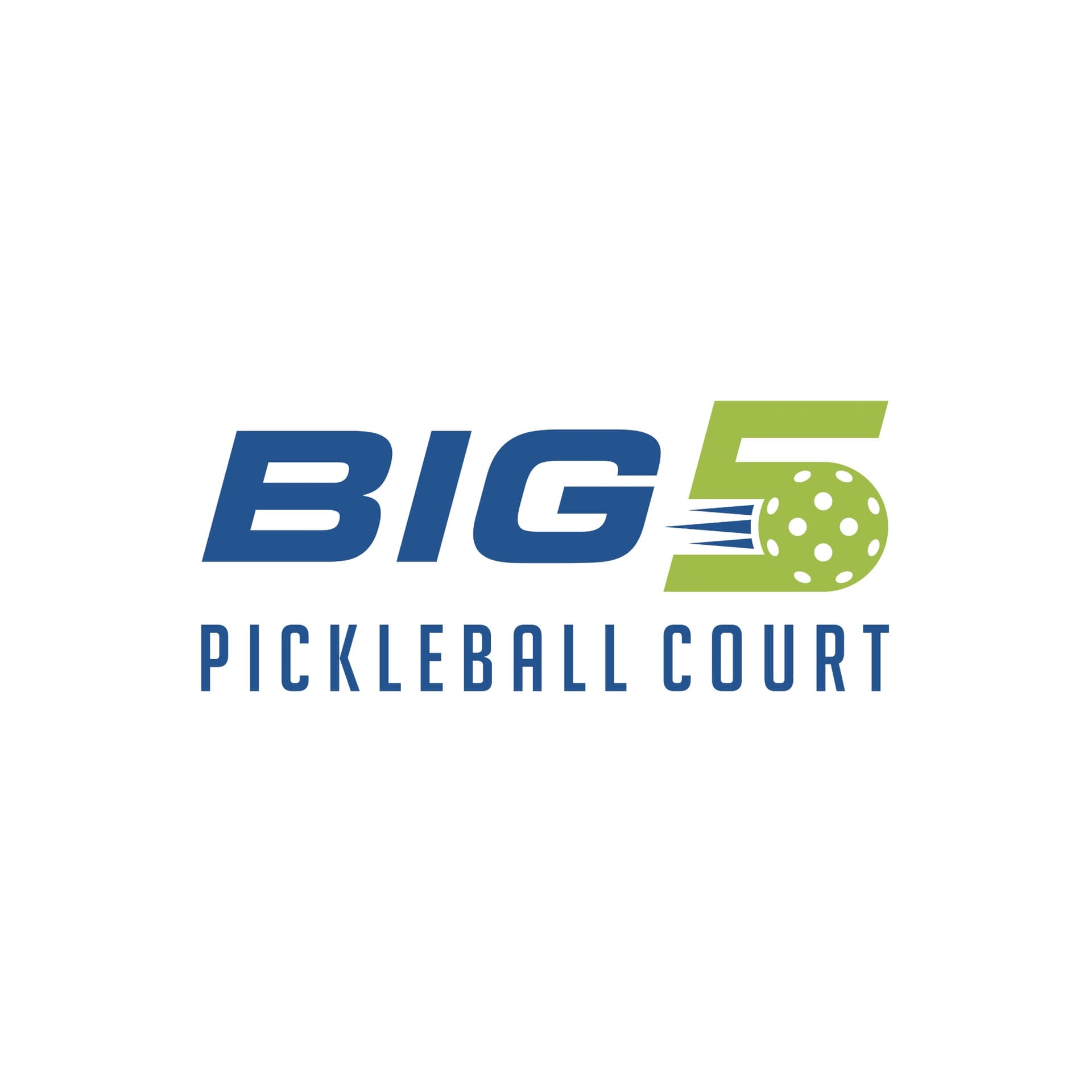Big 5 Pickleball Court