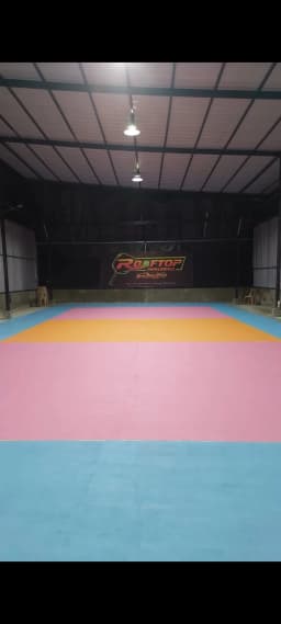Rooftop Pickleball